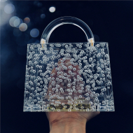 Transparent Bubble Acrylic Women's Bag Acrylic Cute Designer Bags (LZ1042) 5